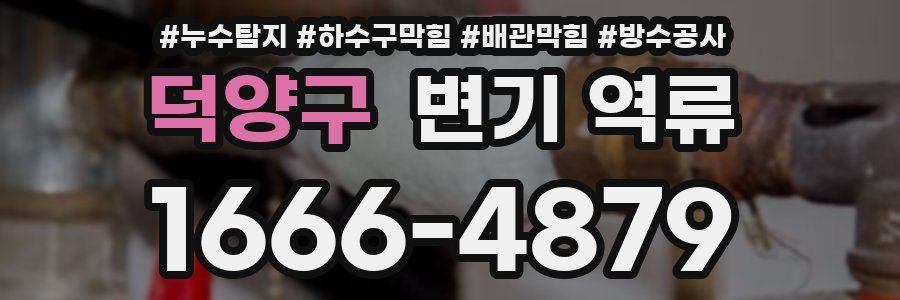 덕양구 변기 역류