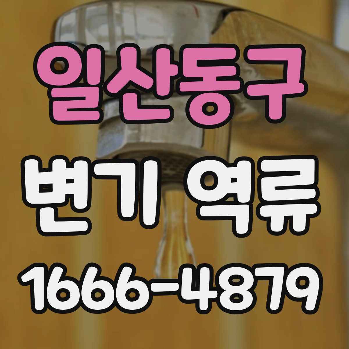 일산동구 변기 역류