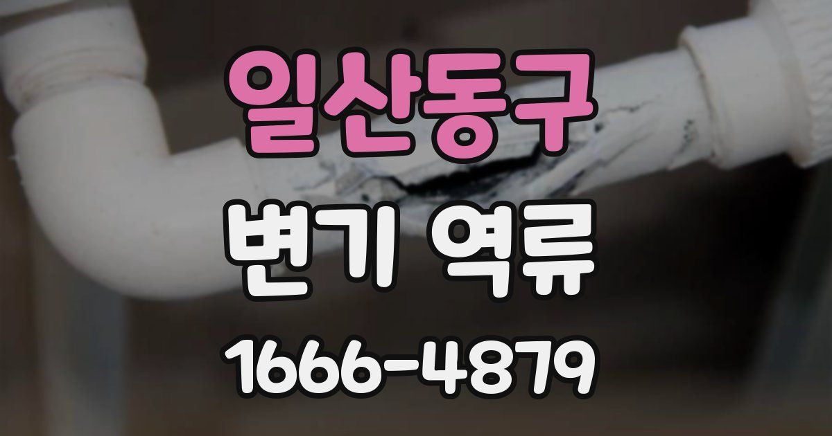 일산동구 변기 역류
