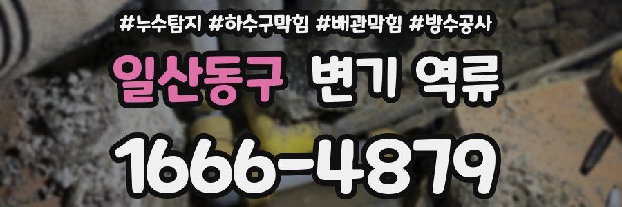 일산동구 변기 역류