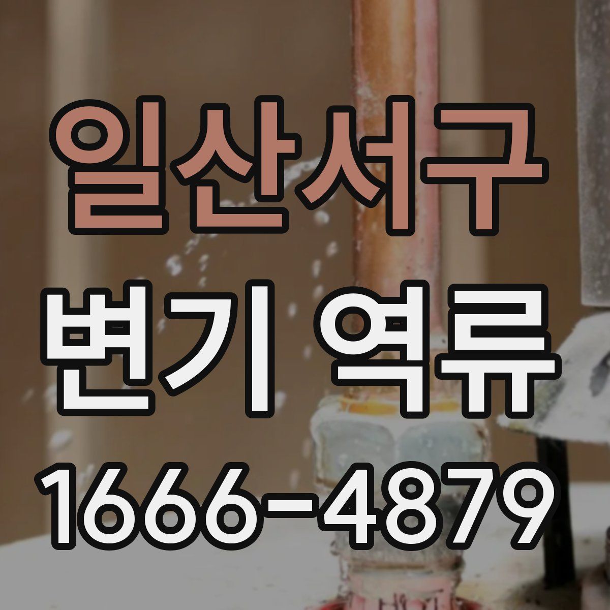 일산서구 변기 역류