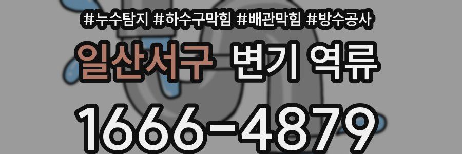 일산서구 변기 역류