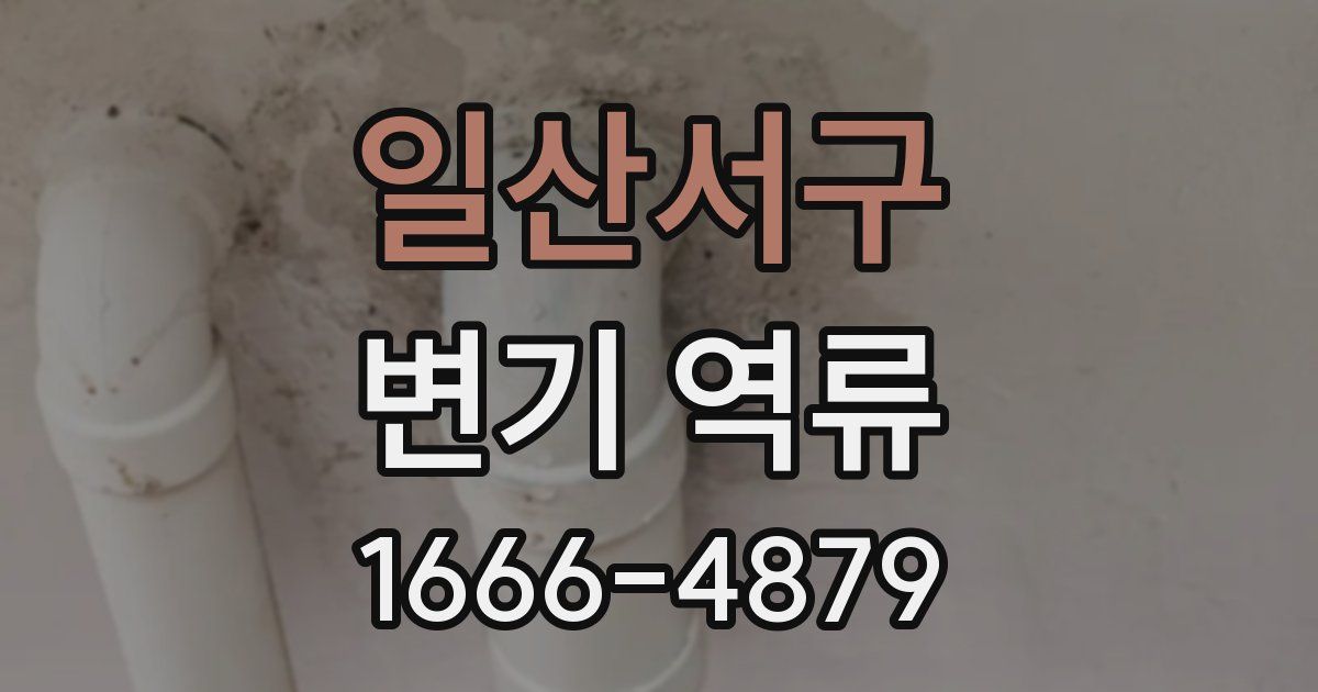 일산서구 변기 역류