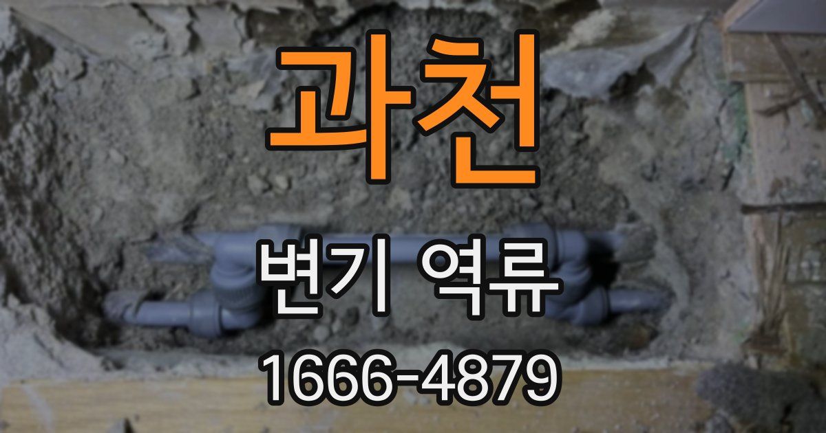 과천 변기 역류
