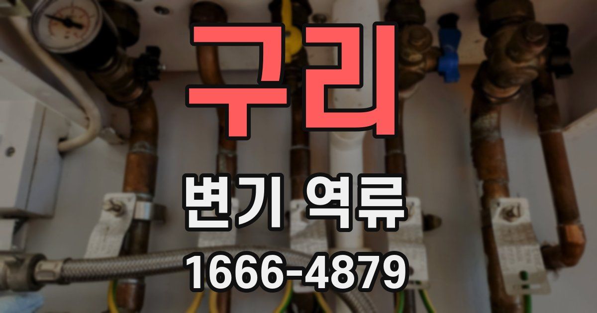 구리 변기 역류
