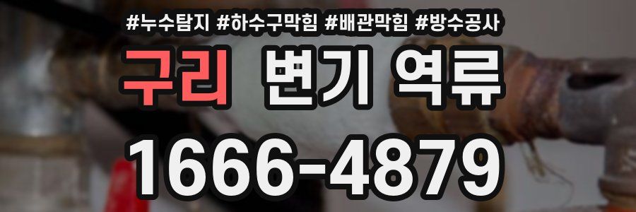 구리 변기 역류