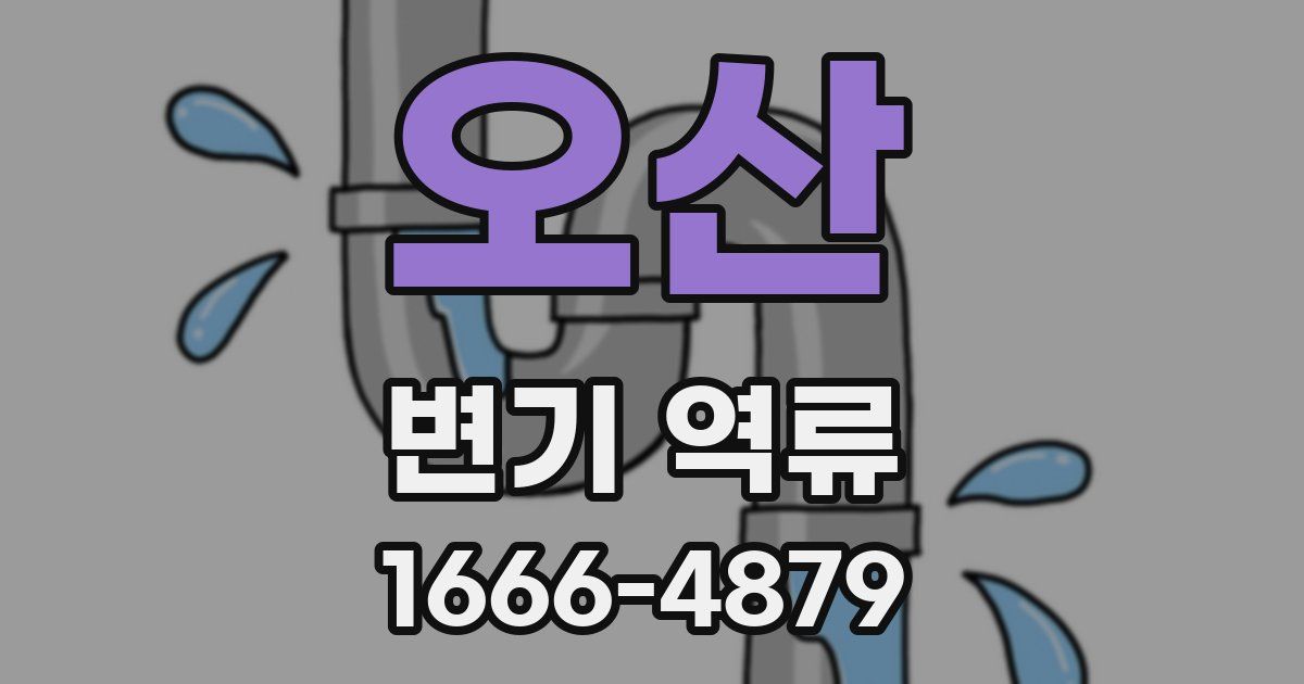 오산 변기 역류