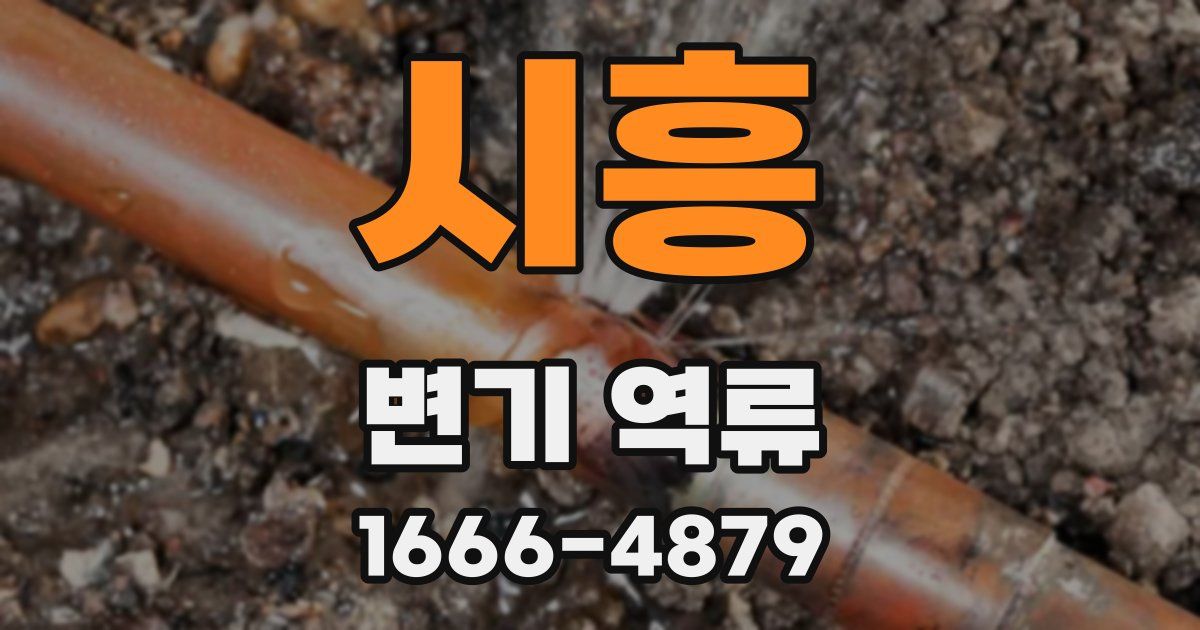 시흥 변기 역류