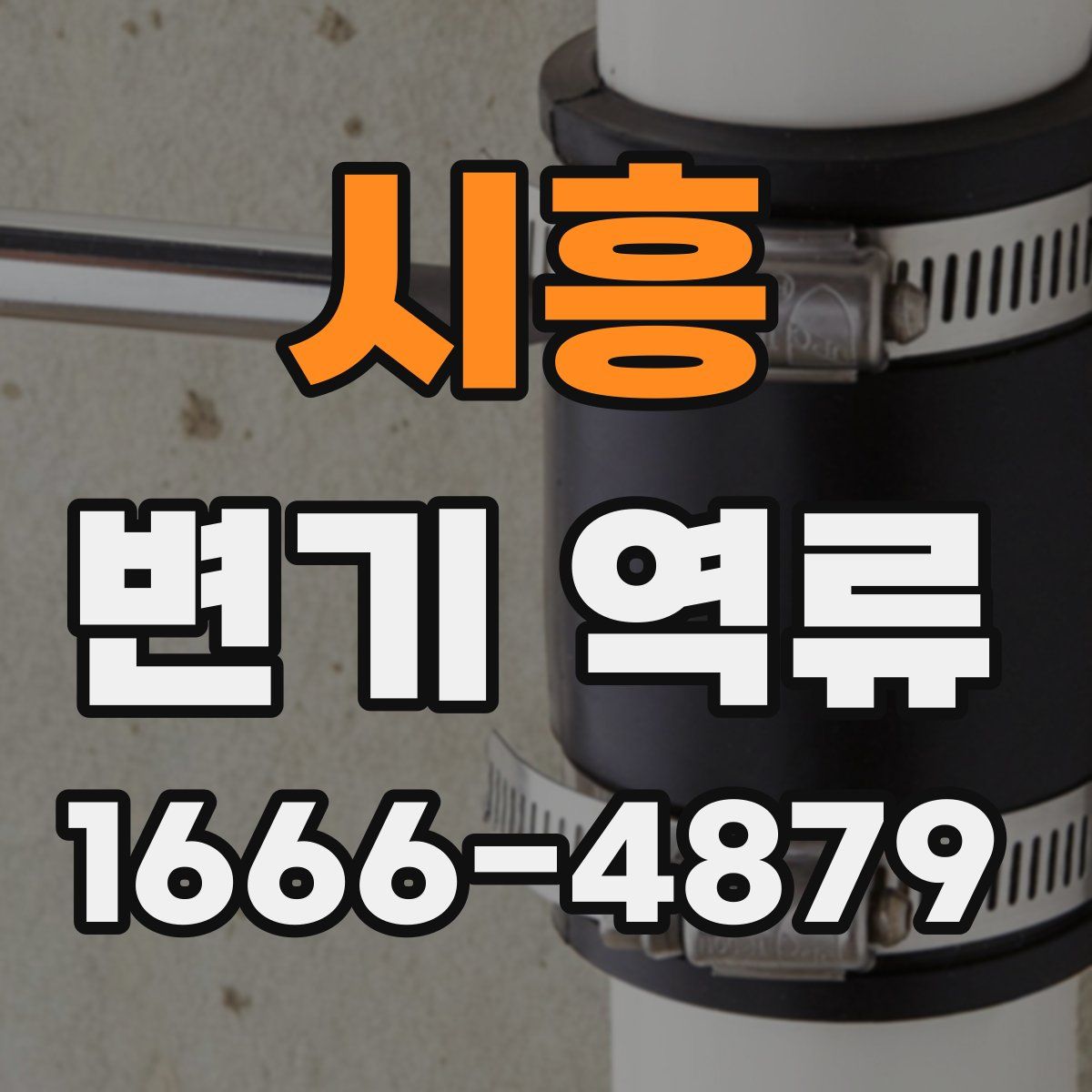 시흥 변기 역류