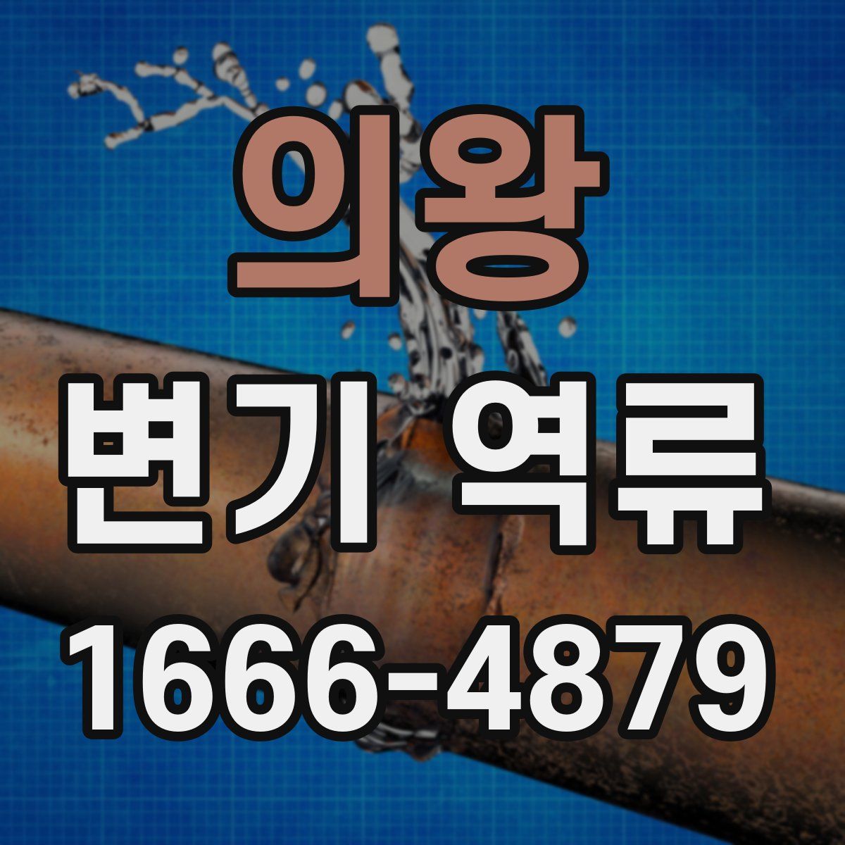 의왕 변기 역류