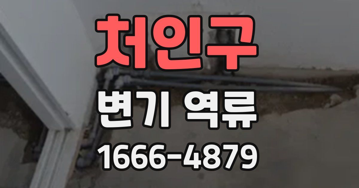 처인구 변기 역류