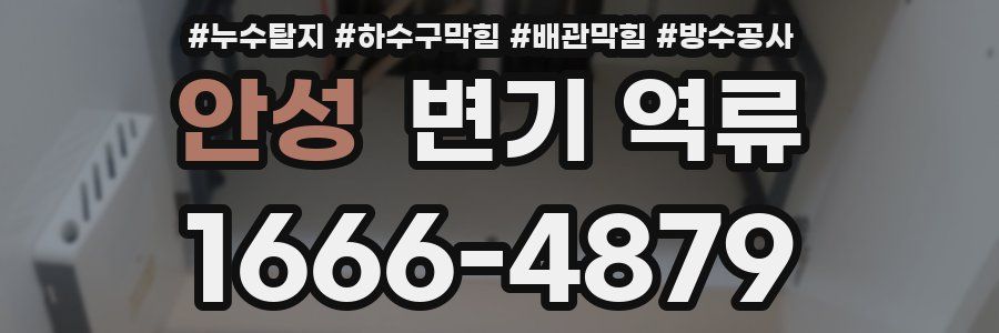 안성 변기 역류