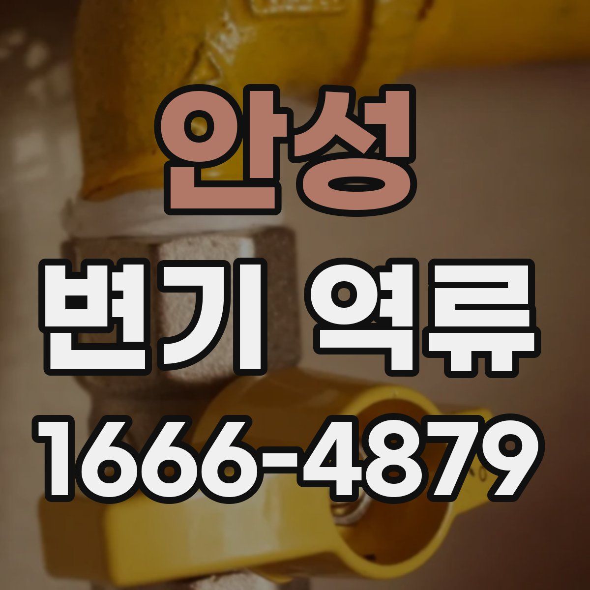 안성 변기 역류