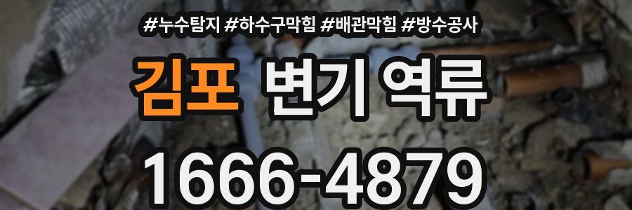 김포 변기 역류