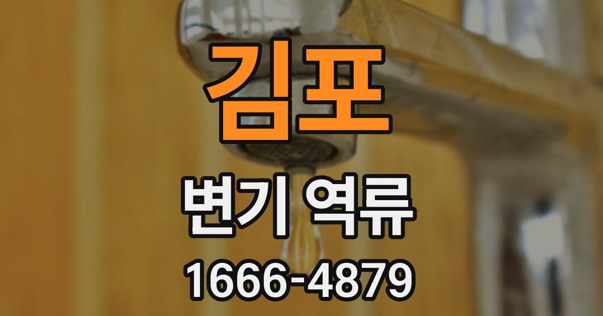 김포 변기 역류