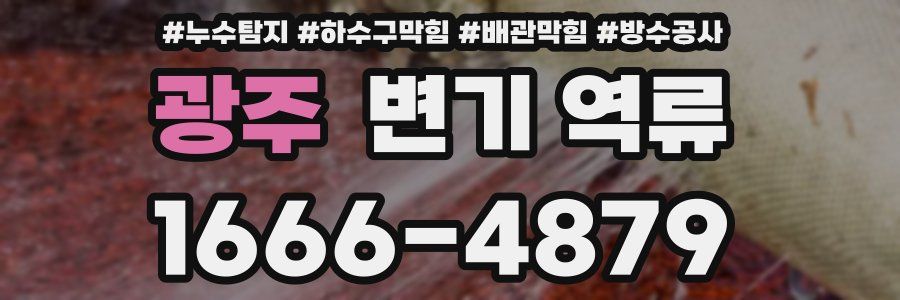 광주 변기 역류