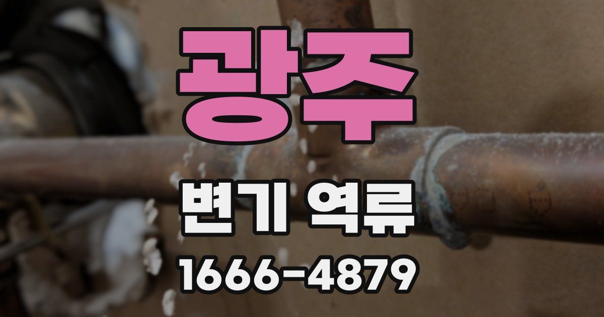 광주 변기 역류