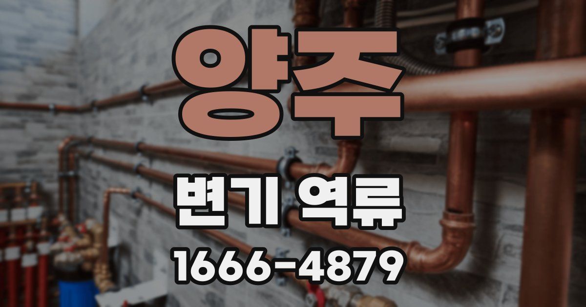 양주 변기 역류