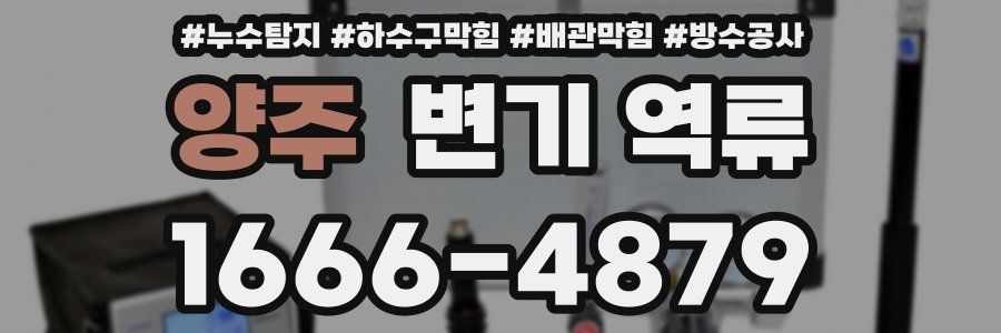 양주 변기 역류