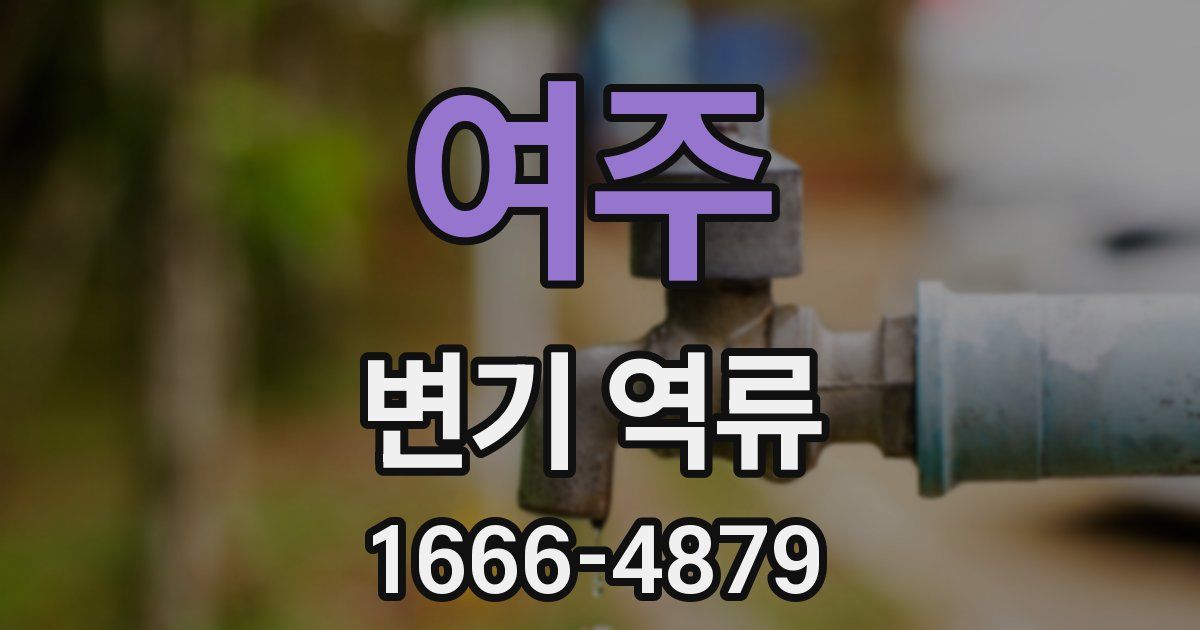 여주 변기 역류