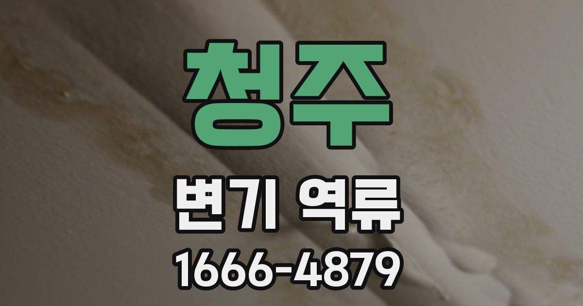 청주 변기 역류