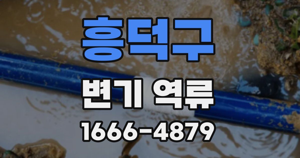 흥덕구 변기 역류