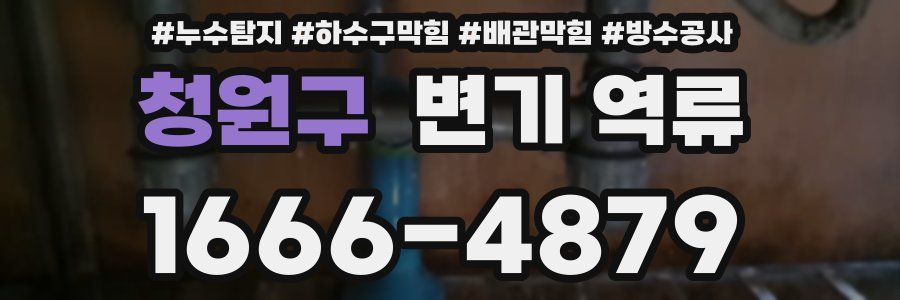 청원구 변기 역류