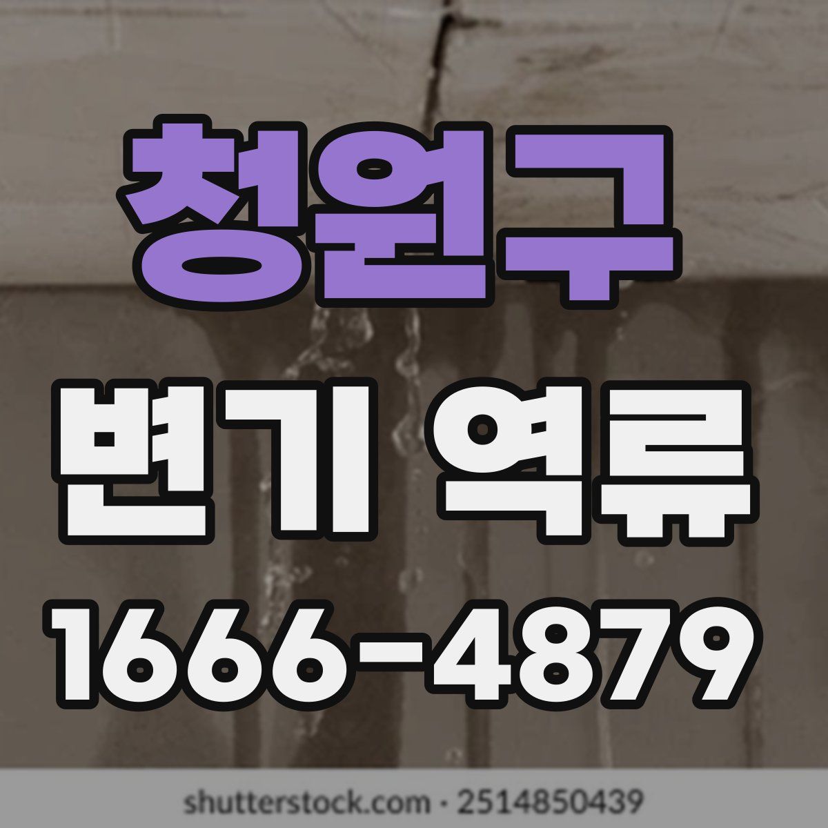 청원구 변기 역류