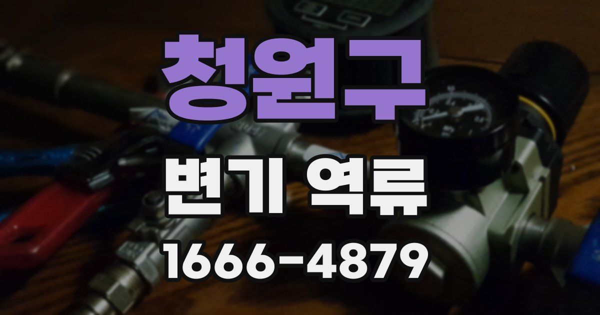 청원구 변기 역류
