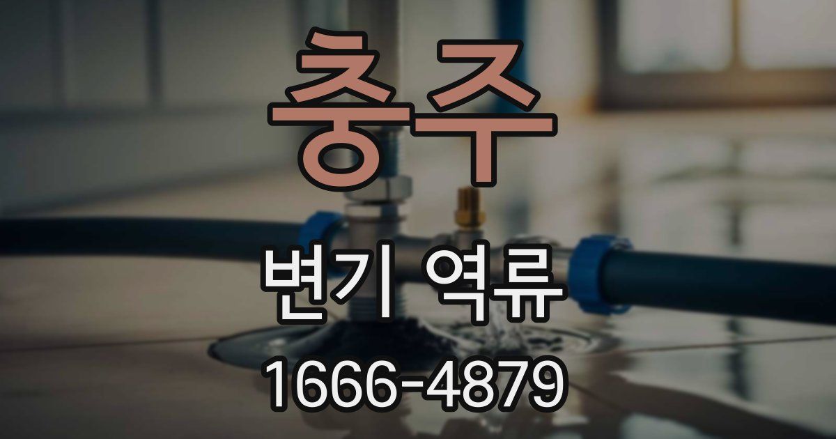 충주 변기 역류