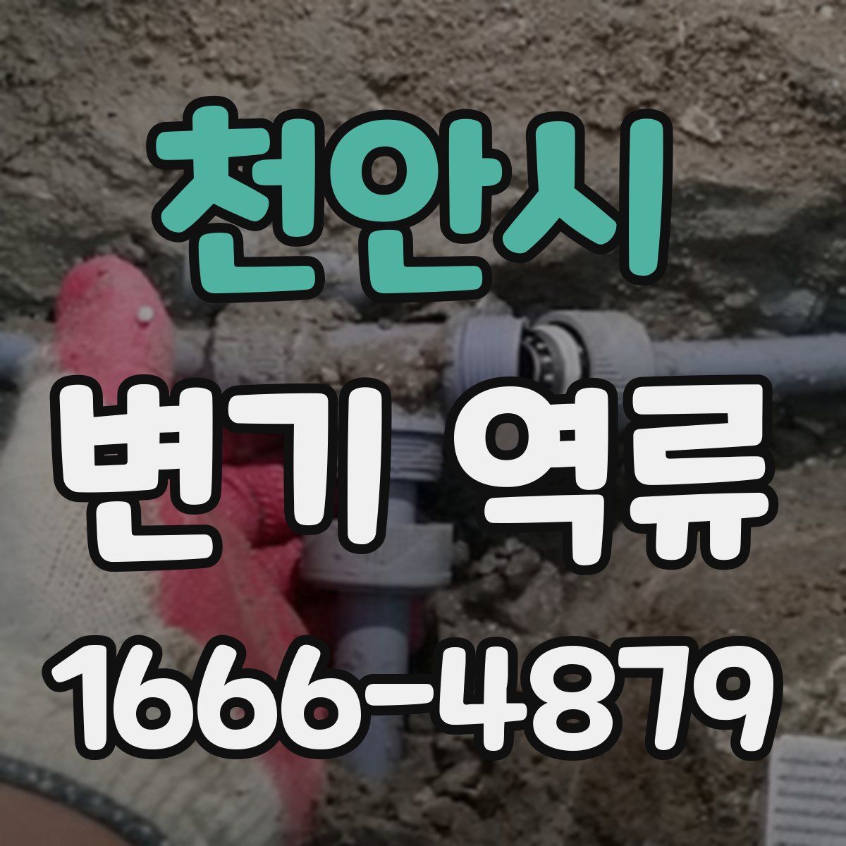 천안시 변기 역류