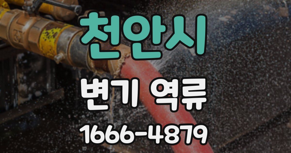 천안시 변기 역류