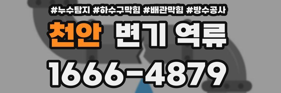 천안 변기 역류