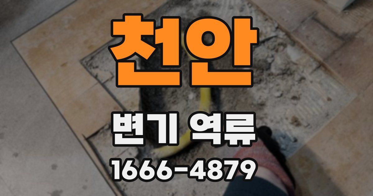 천안 변기 역류