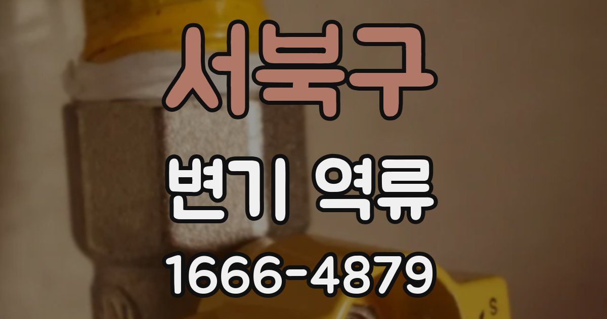 서북구 변기 역류