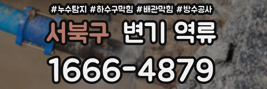 서북구 변기 역류
