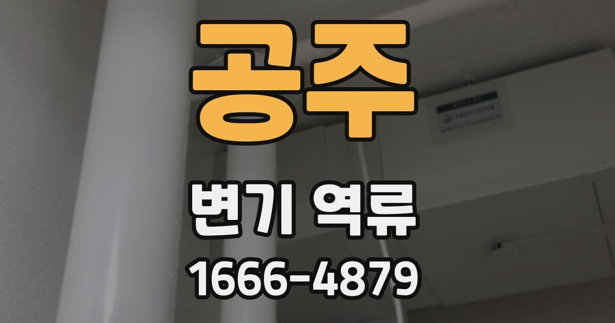 공주 변기 역류