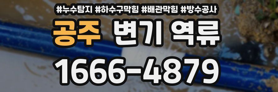 공주 변기 역류