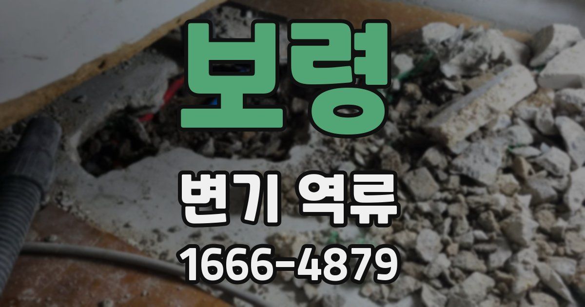 보령 변기 역류