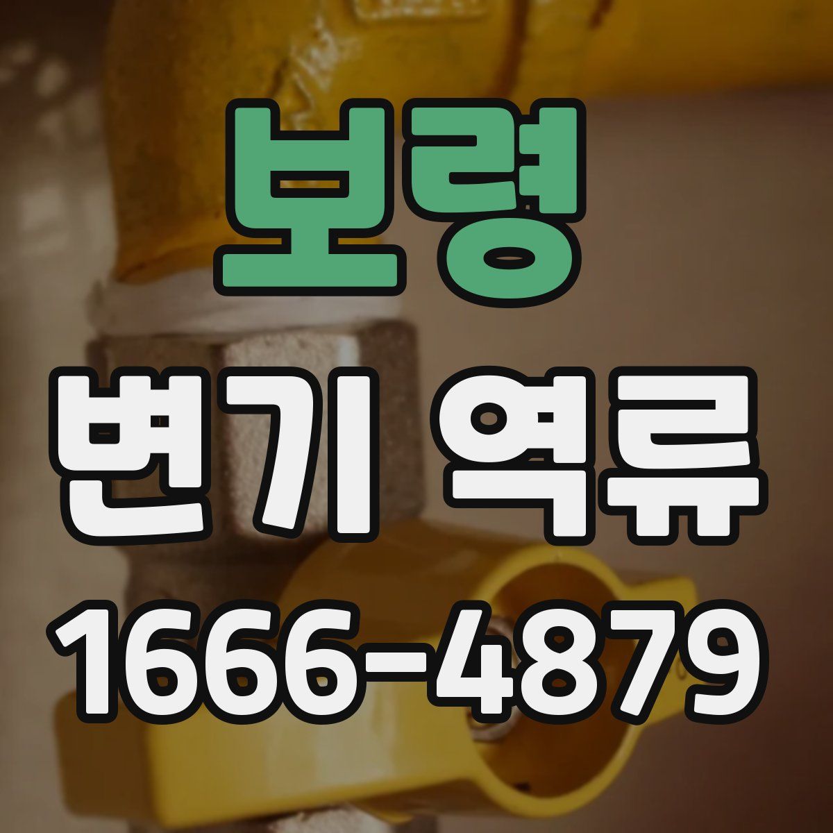 보령 변기 역류