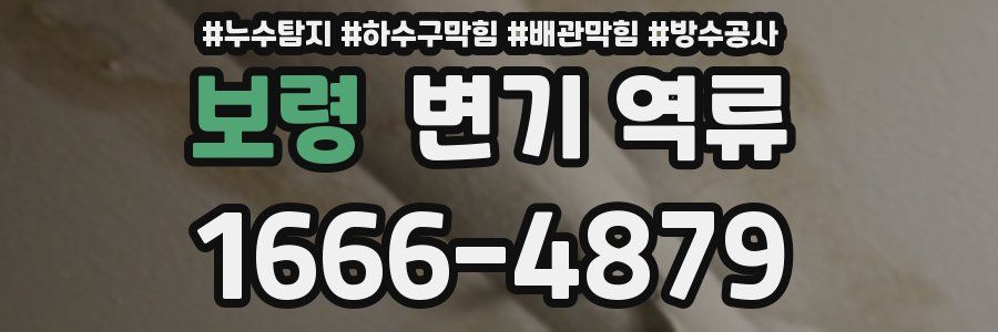 보령 변기 역류
