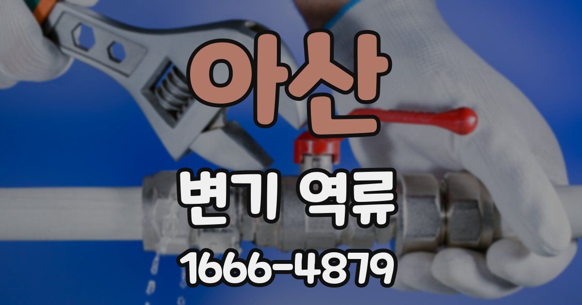 아산 변기 역류