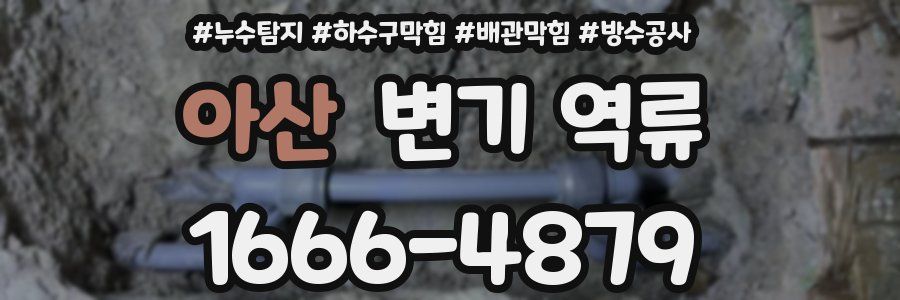 아산 변기 역류