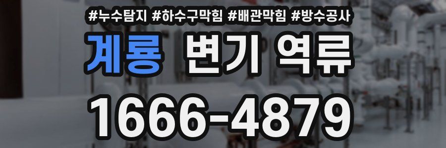 계룡 변기 역류