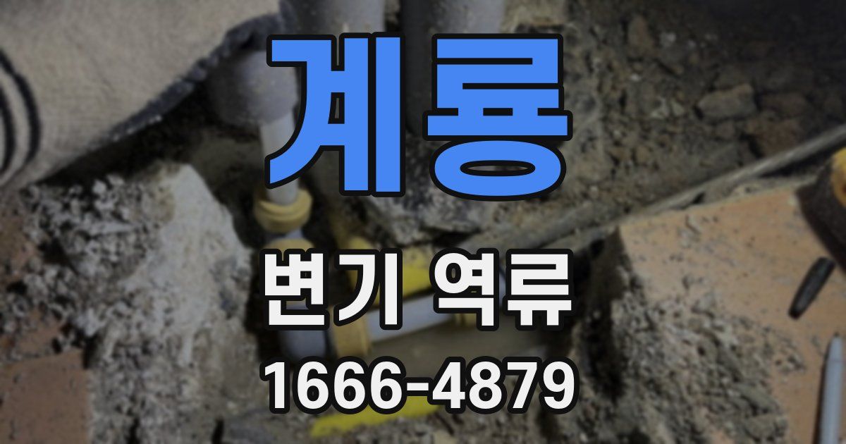 계룡 변기 역류