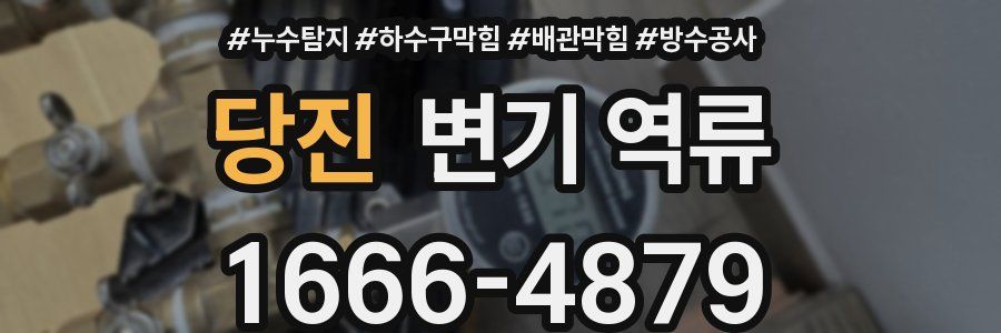 당진 변기 역류