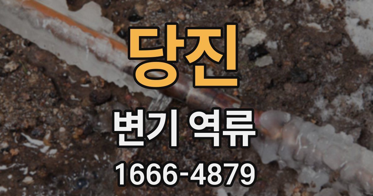 당진 변기 역류