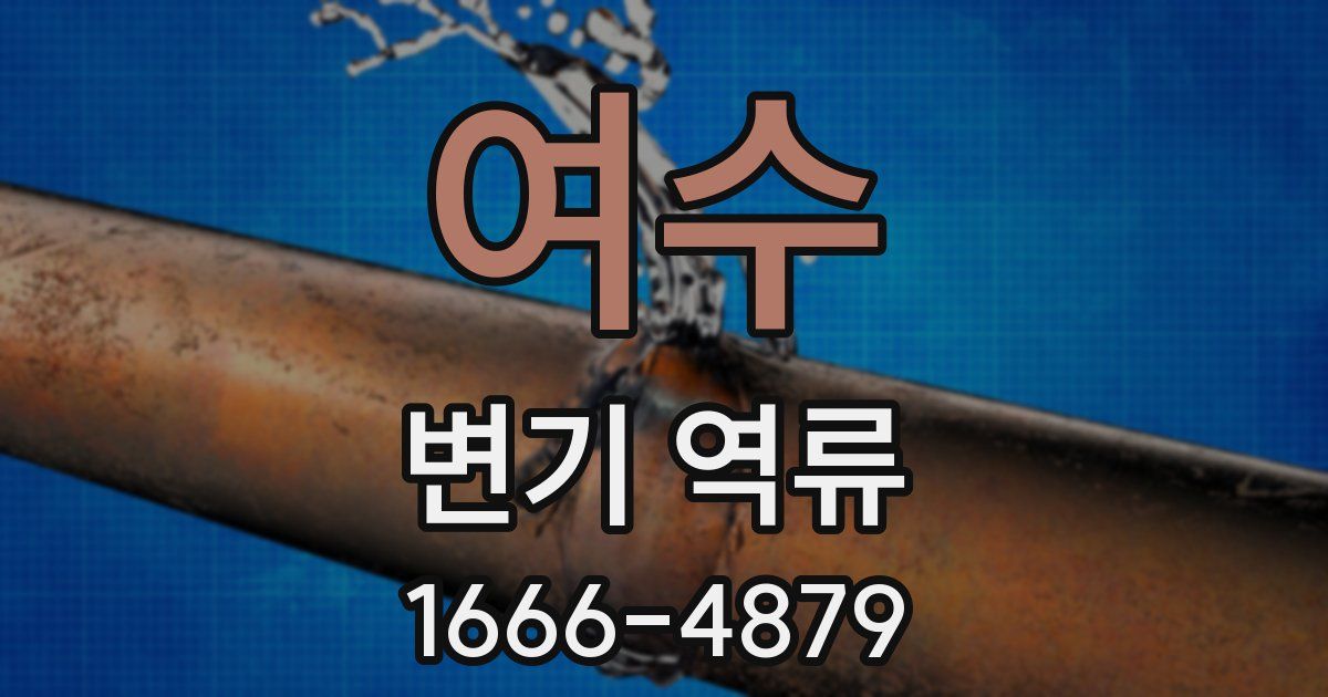 여수 변기 역류