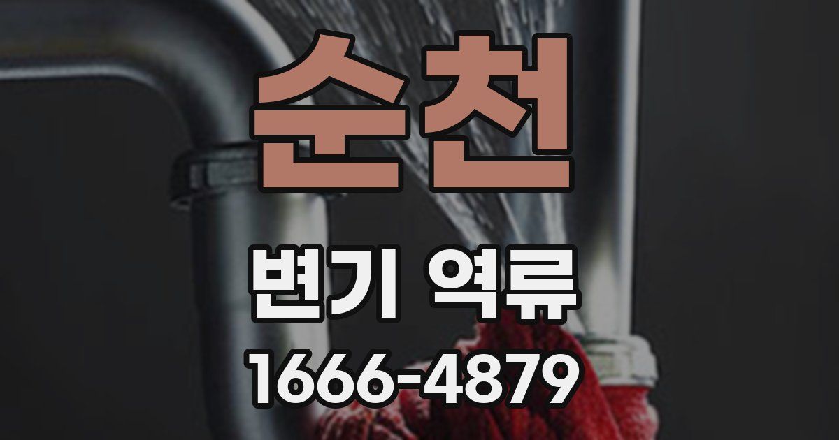 순천 변기 역류