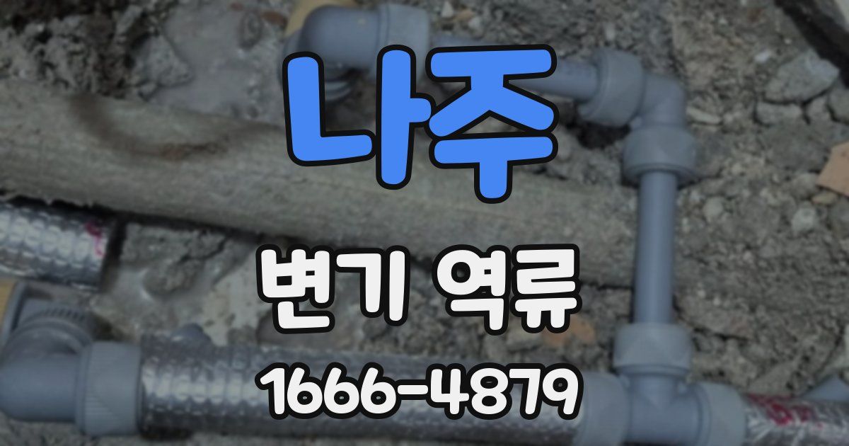 나주 변기 역류